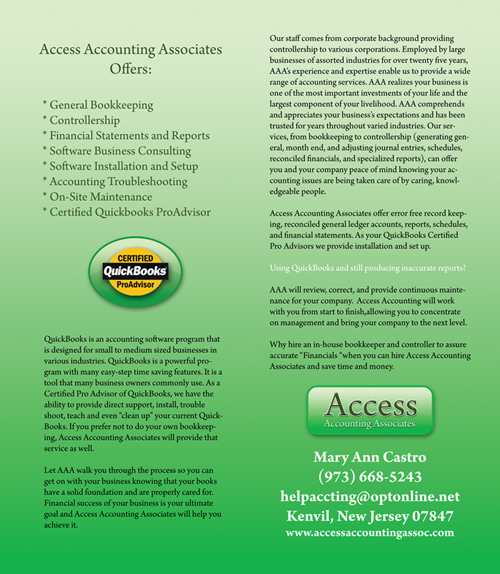 Access Accounting Associates Brochure